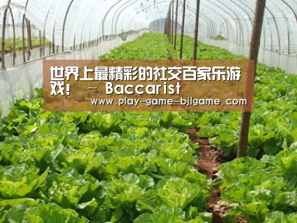 种植基地五