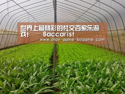 种植基地四