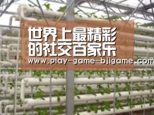 环境展示六