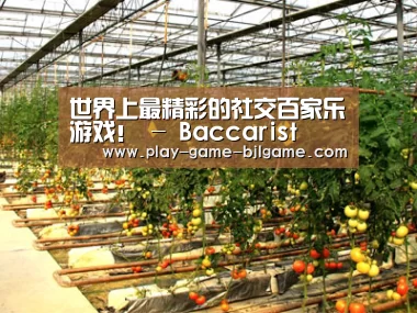 种植基地二(图1)